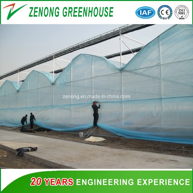 Factory Supply High Transparent Single or Double Film Greenhouse Intelligent Film Greenhouses Vegetable/Flower/Hydroponics Greenhouse for Promotion