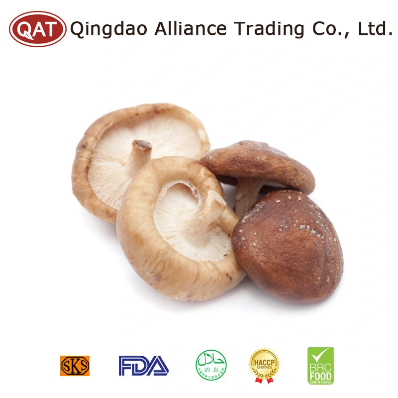 Nameko Shiitake Oyster Pilz Frozen Mixed Pilz Europa Standard