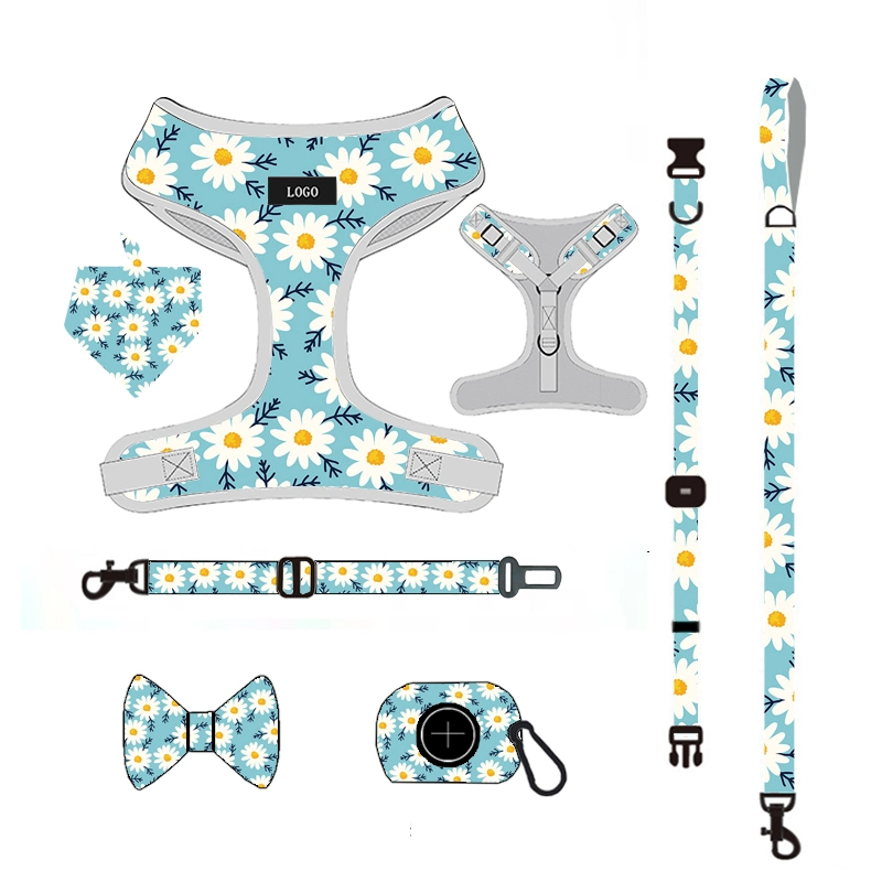 Wholesale/Supplier Custom Logo PVC Dog Harness Leash Collar Sublimation Patterns Dog Leash Collar and Harness Set Dog Harness and Leash/Pet Accessory/Pet Accessories