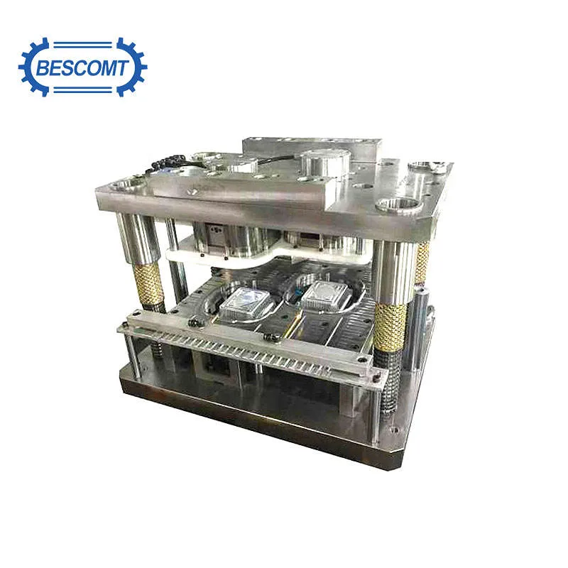 Metal Mould Stamping Molds Metal Malaysia Manufacture Precise Stamping Die