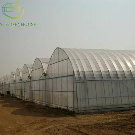 Agricultural Multi Span Tunnel Greenhouses with Hydroponic Growing System for Tomato/Cucumber/Lettuce/Pepper Planting