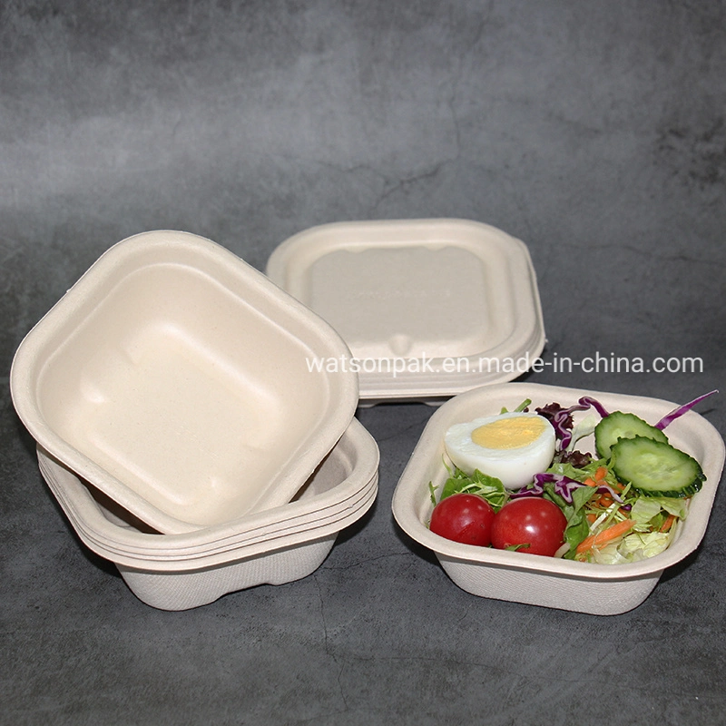 Watsonpak Ecofriendly FSC/FDA/LFGB المستدامة الميكروويف آمنة تسرب من قصب السكر Bagasse علبة غداء من نوع Envase قابلة للتحلل البيولوجي سعة 280 مل مع غطاء