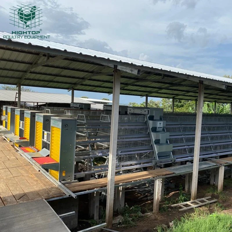 Galvanizado Hightop un marco de la capa de la batería Ponedora pollo automático jaulas con sistema de alimentación en Filipinas