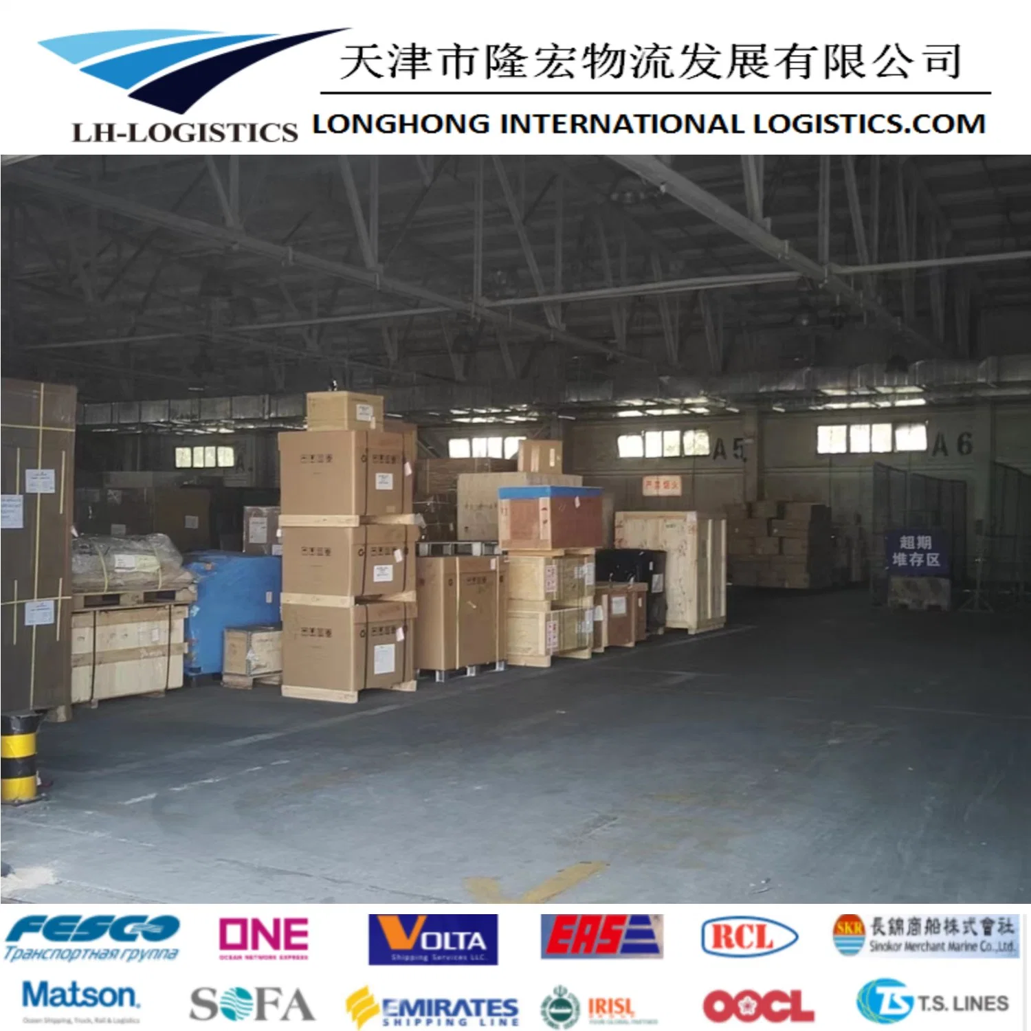 Shipping Service Shipping From China to Tashkent and Botswana