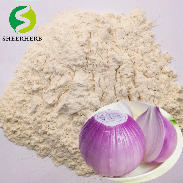 Sheerherb Hot Salling Onion Cheese Dressings Lactic Acid Powder with Good Quality Onion Powder