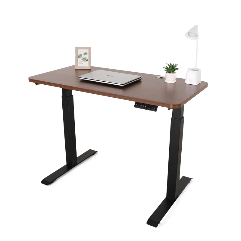 Oficina Ergonomic Electric altura ajustable Sit to Stand Escritorio hecho En China