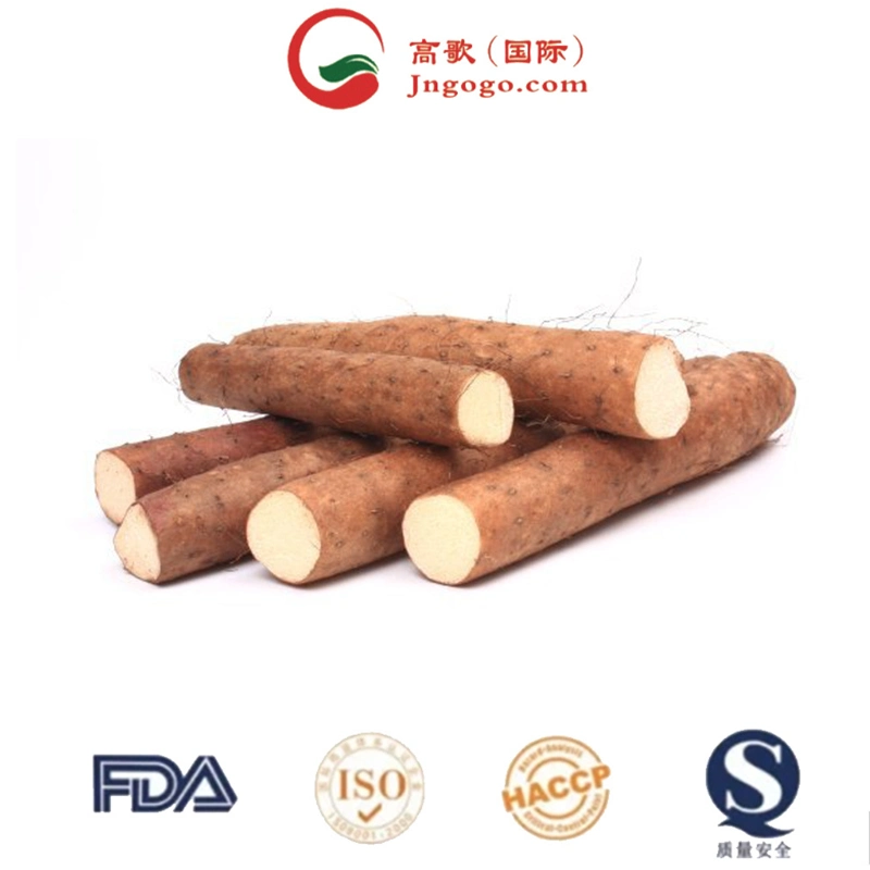 Hot Selling High Quality Chinese Yam Powder Dried Yam Crushed New Crop Good Prices