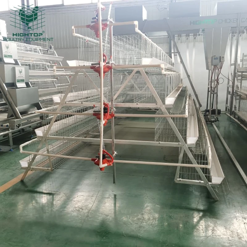 Commercial Hot DIP Galvanized A Type 4 Tier Poultry Hen Egg Layer Chicken Cage