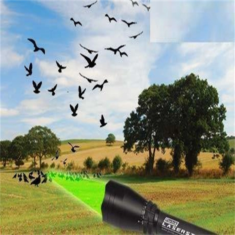 Portable Handheld Laser Brid Control Device Safe Scarer Barns Stables & Storage Sheds