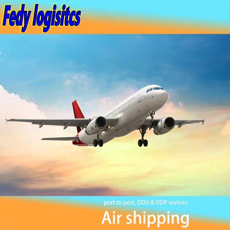 Professional Air Freight/Air Logistics desde Shanghai a Londres/Corea/Japón/Alemania/España Express/aire y mar, agentes marítimos Freight Forwarder DDP