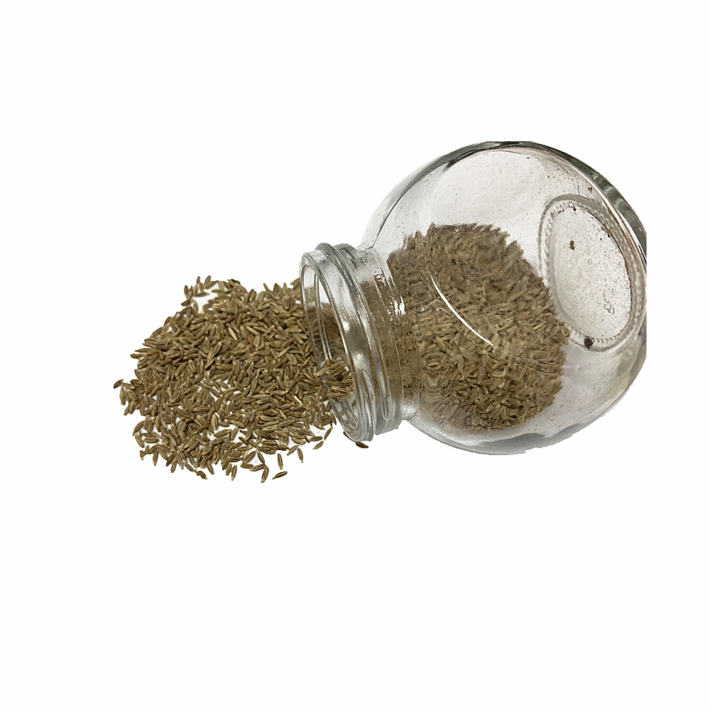 Wholesale/Supplier Premium Quality Cumin Seeds Single Spices