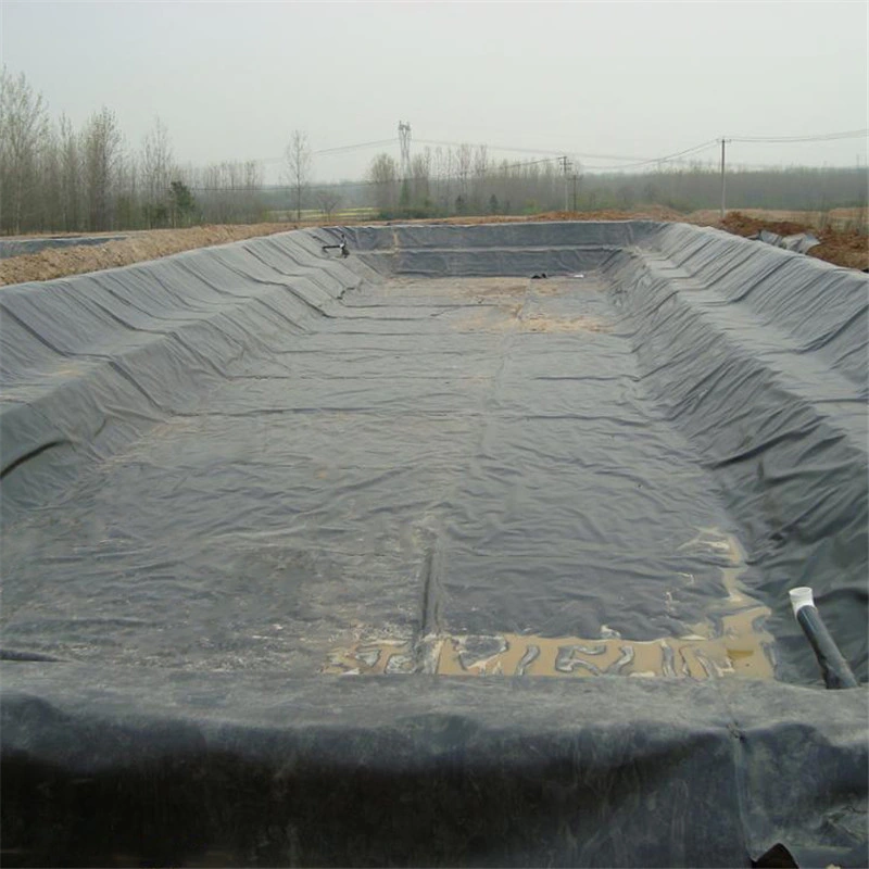 Geomembrane Waterproofing Liners Swimming Pool Fish Pond Geomembrane