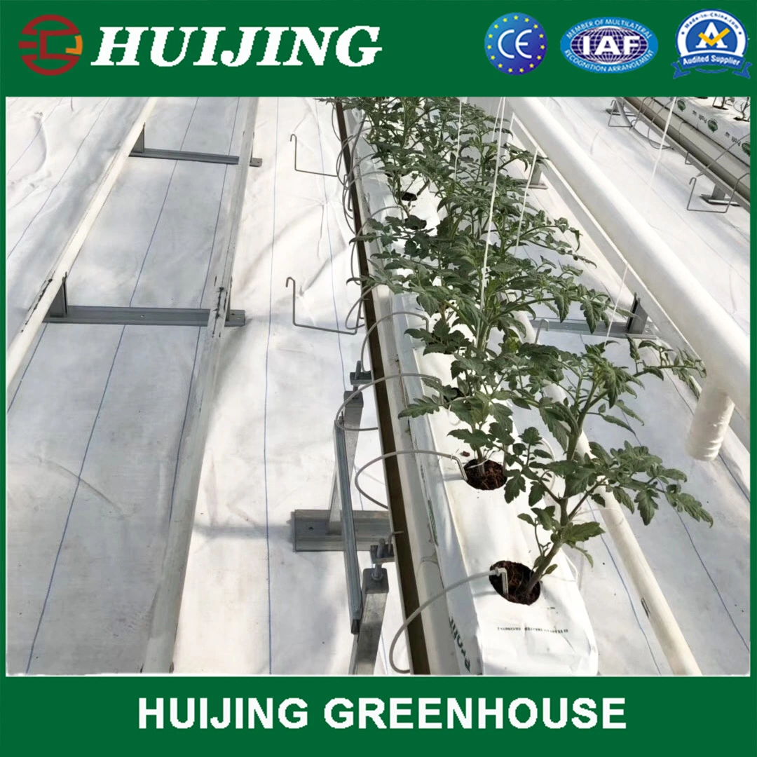 Huijing Nft Hydroponics System in Greenhouse for Vegetables
