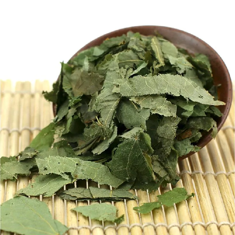 Herb Yin Yang Huo Medicina Herbal Chinesa seca de Herba Folha de Epimedii Epimedium