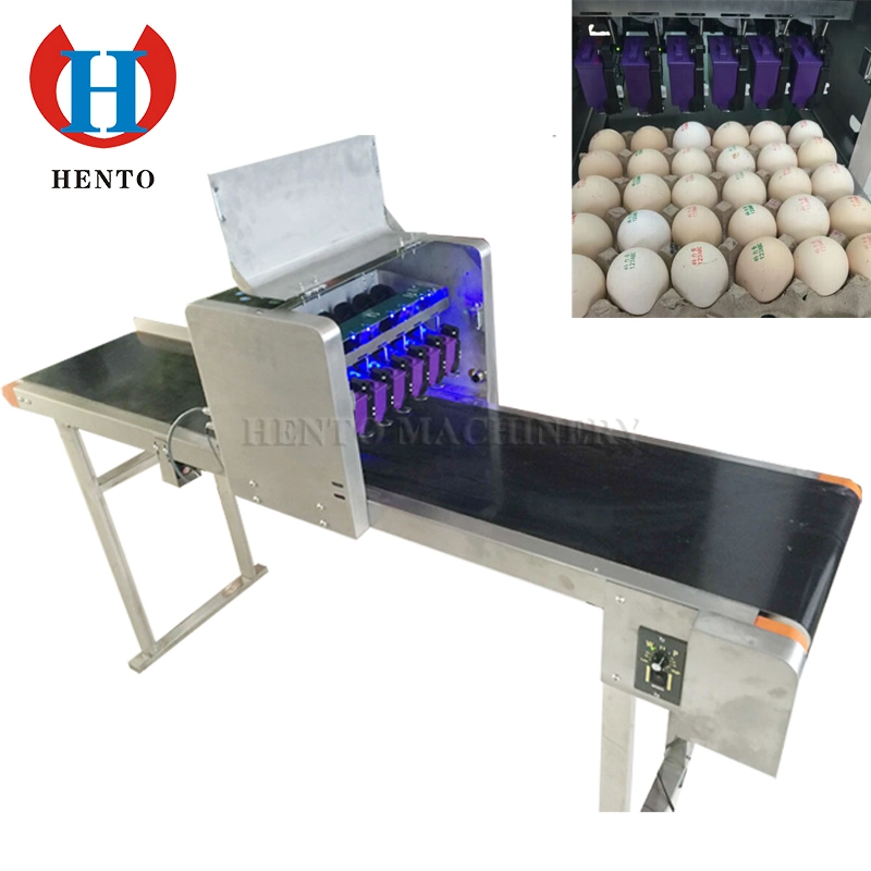 Long Service Life Hot Sale Small Scale Egg Washer Candler Grader Printer Machine Line