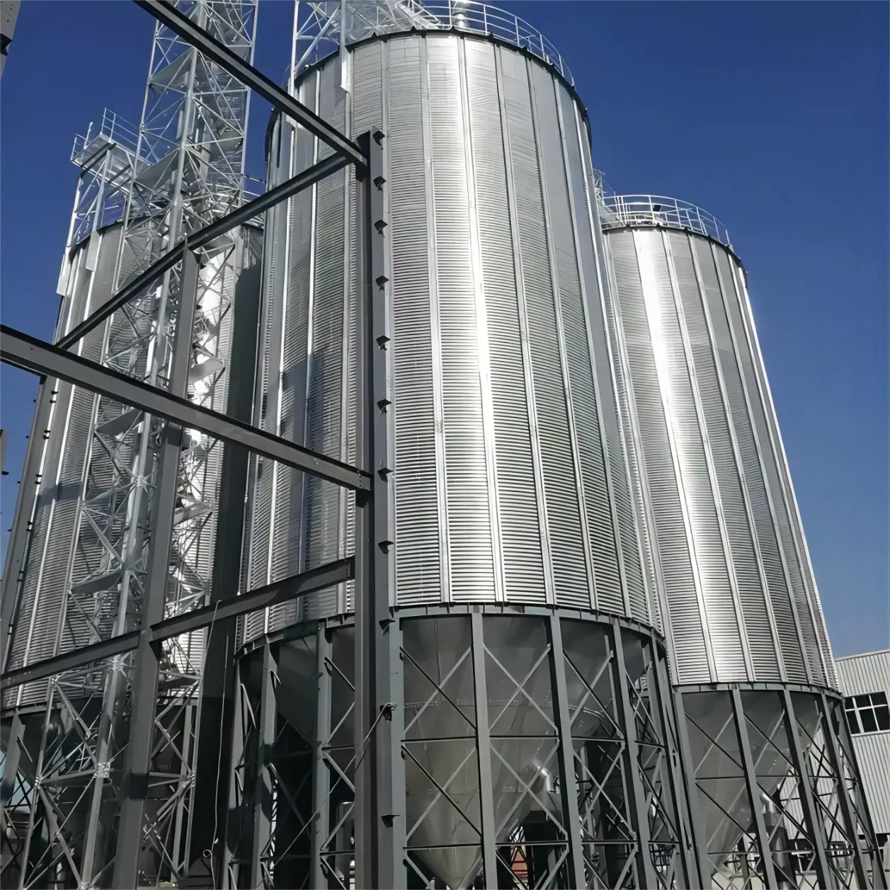 Paddy Silo / girassol semente Silo / milho Silo galvanizando grão de aço inoxidável Armazenamento Silo