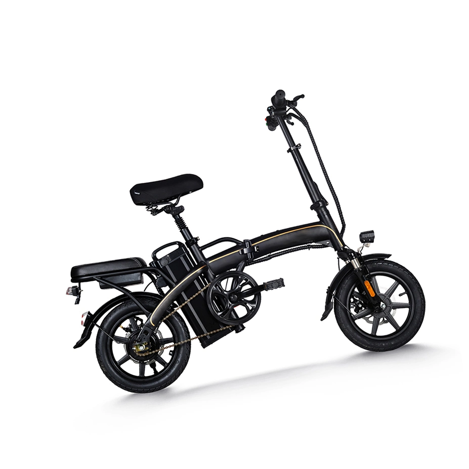 Almacén de 48V 350W 8Ah bicicleta eléctrica e bicicleta plegable para adultos