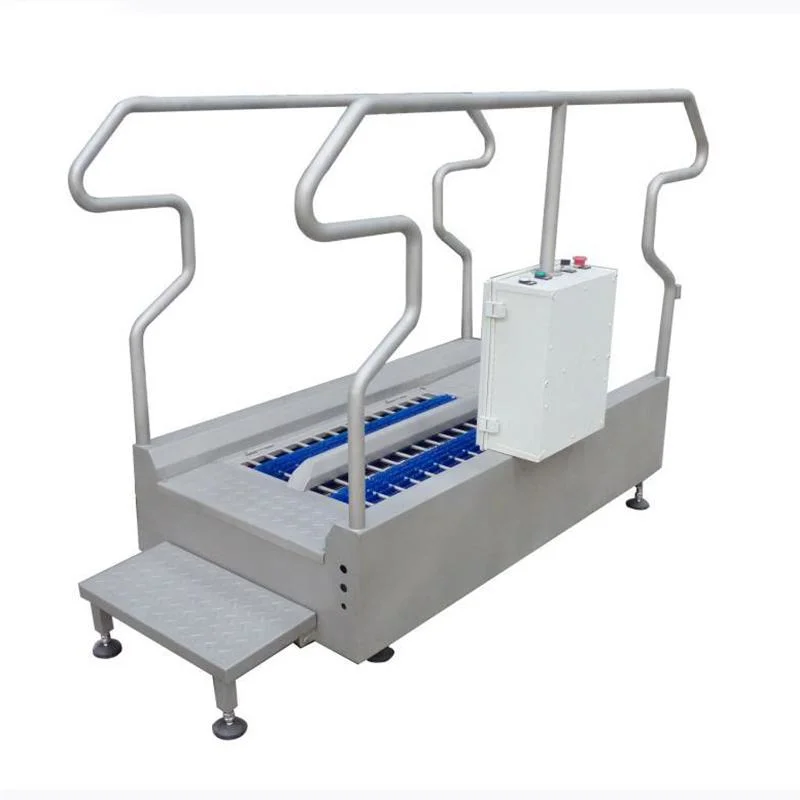 Industrial Automatic Boots Cleaning Washing Access Control Machine Equipment for Food Workshop