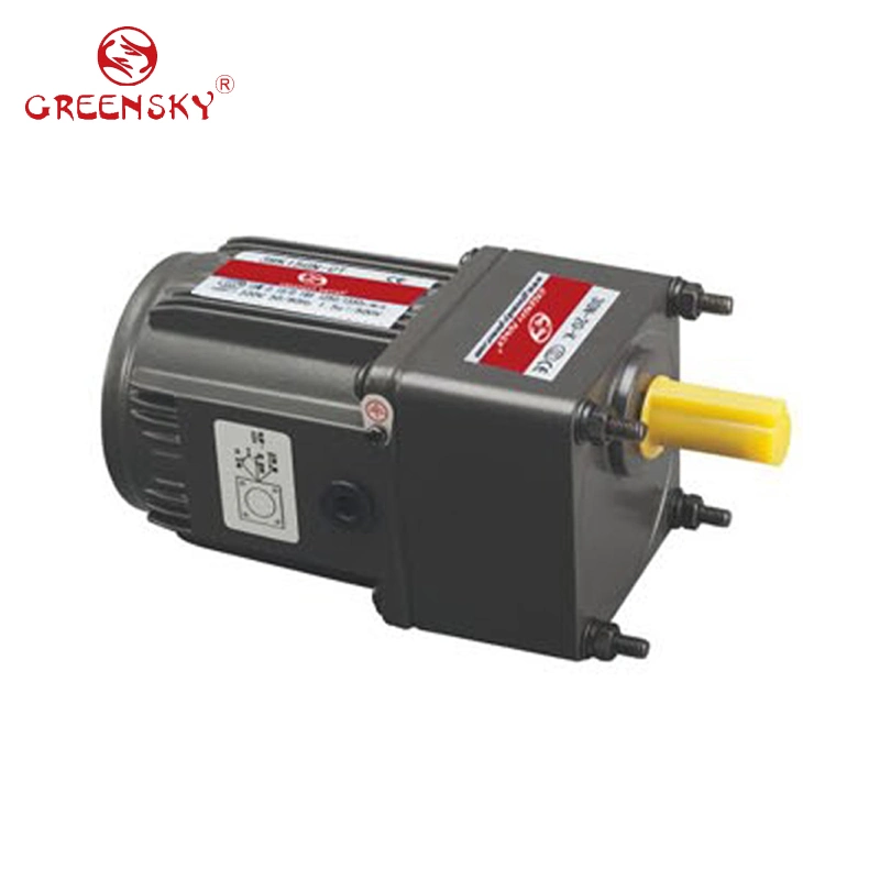 15W 70mm Electrical AC Induction Gear Motor for Boiler Conveyor Auto-Door