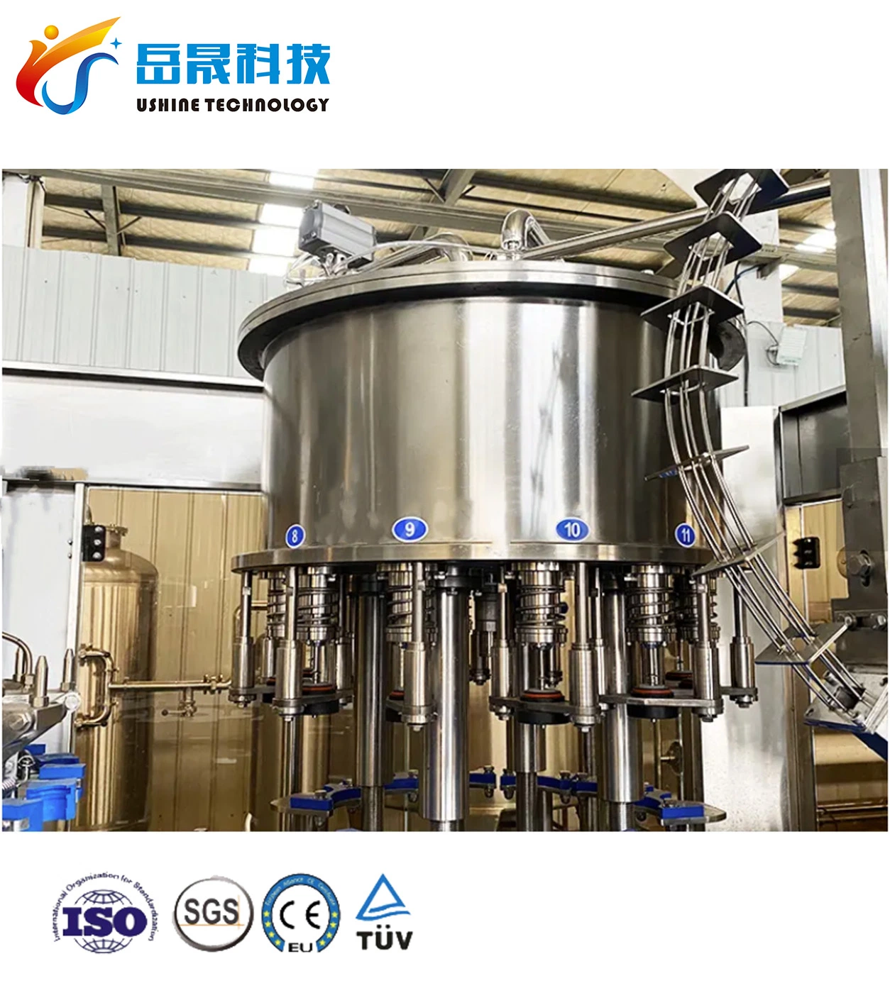 Glass Bottle Carbonated Soft Drink Cola Filling Machine Production Line, Zhangjiagang