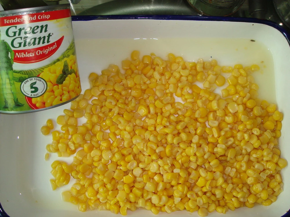 Fresh Sweet Corn Canned Sweet Corn Kenerls in Top Quality