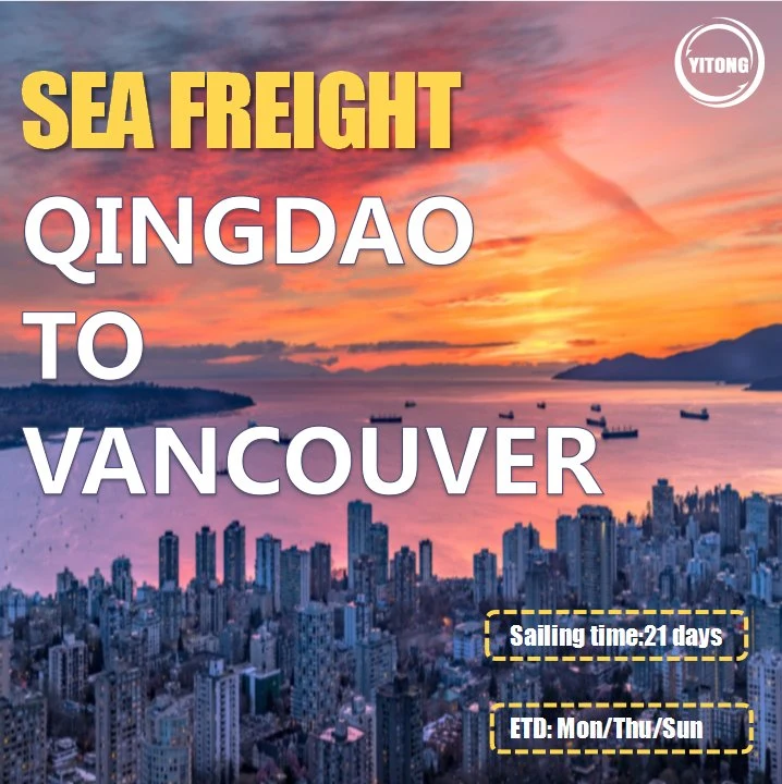 Mayorista Guangzhou China sea Freight Shipping Agent a Montreal Canadá