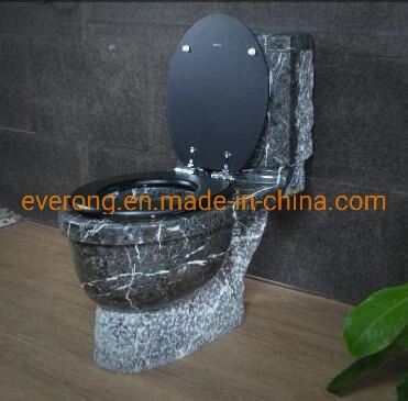 Sanita Ware Luxury Onyx Closestorol, granito Jordan, mármore Stone Flush WC