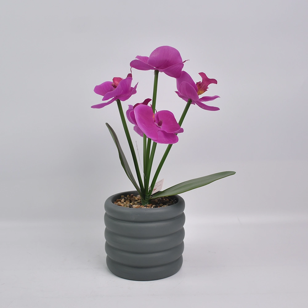 Precios bajos de fábrica de seda en 3D de la flor artificial orquídeas con cemento Pot