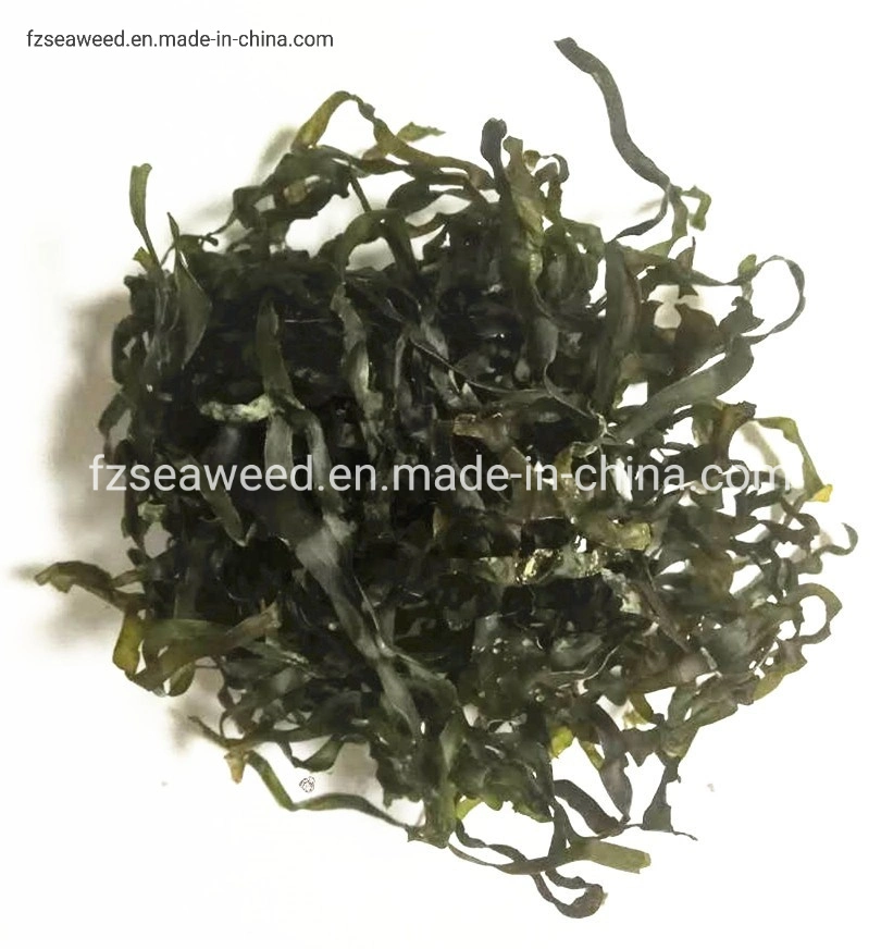 Las algas marinas naturales contiene yodo, algas marinas Sol Corte Laminaria Japonica