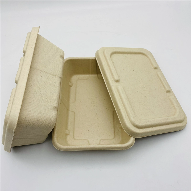 Caña de Azúcar biodegradables Clamshell Caja de comida para pasar el recipiente con tapa de bagazo /tapa de PP/PET tapa