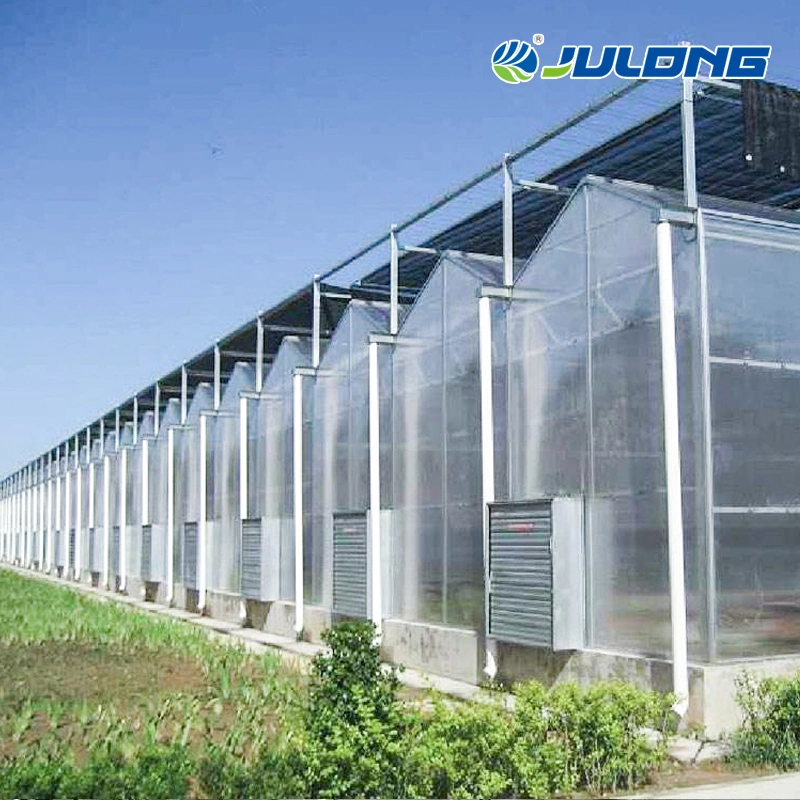 Full Automatic Control System Agriculture Building Commercial Farming Polycarbonate Greenhouse with Climate Control System for Tomato Greenhouse