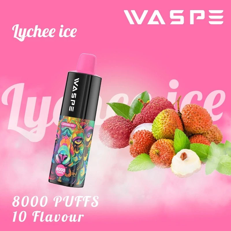 Factory Wholesale/Supplier 8000 Puffs 16ml 2% Nicotine Disposable/Chargeable Vape Pen