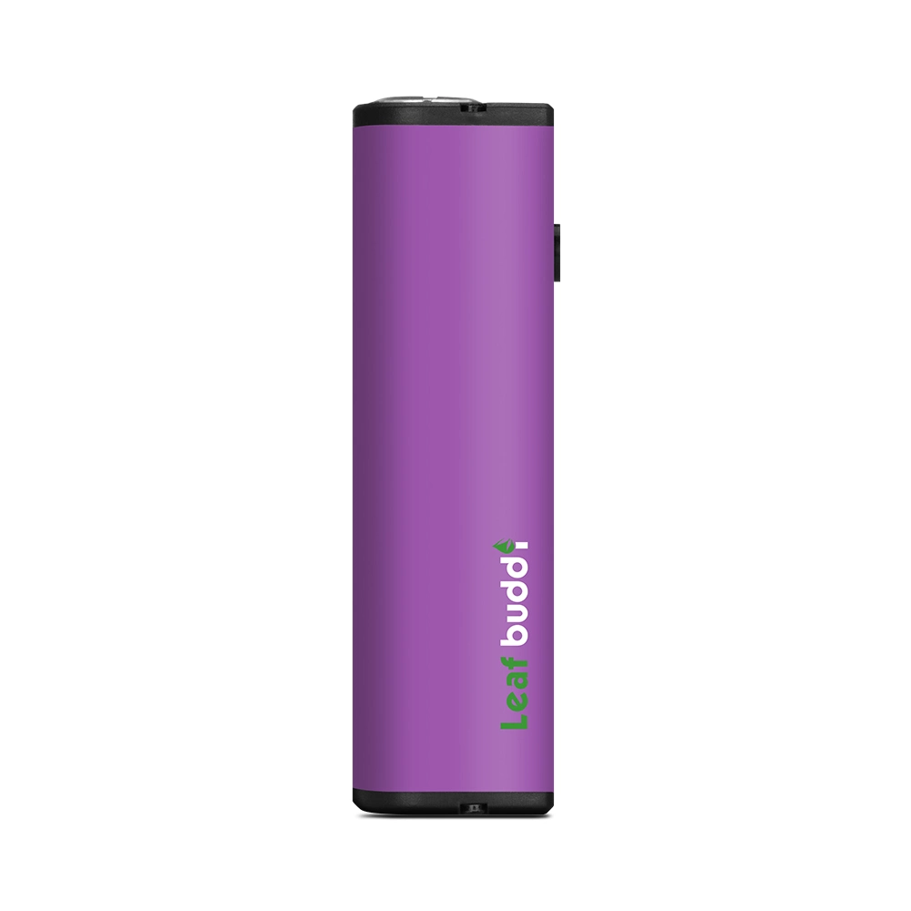 Wholesale/Supplier Preheat 510 Thread 650mAh Battery with USB Cable for Vape Pen