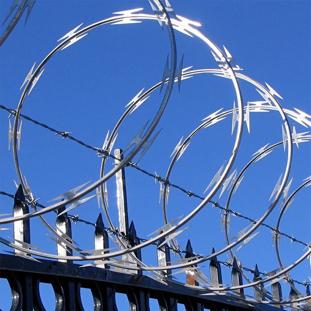 Stainless Steel Concertina Wire Border Barrier