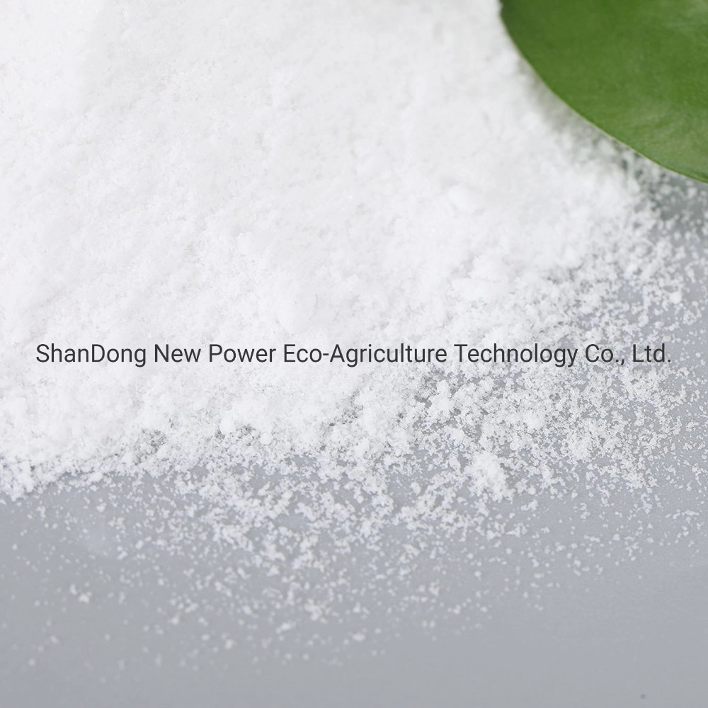 Ammonium Sulphate 21%N Crystal Bulk as Nitrogen Fertilizer