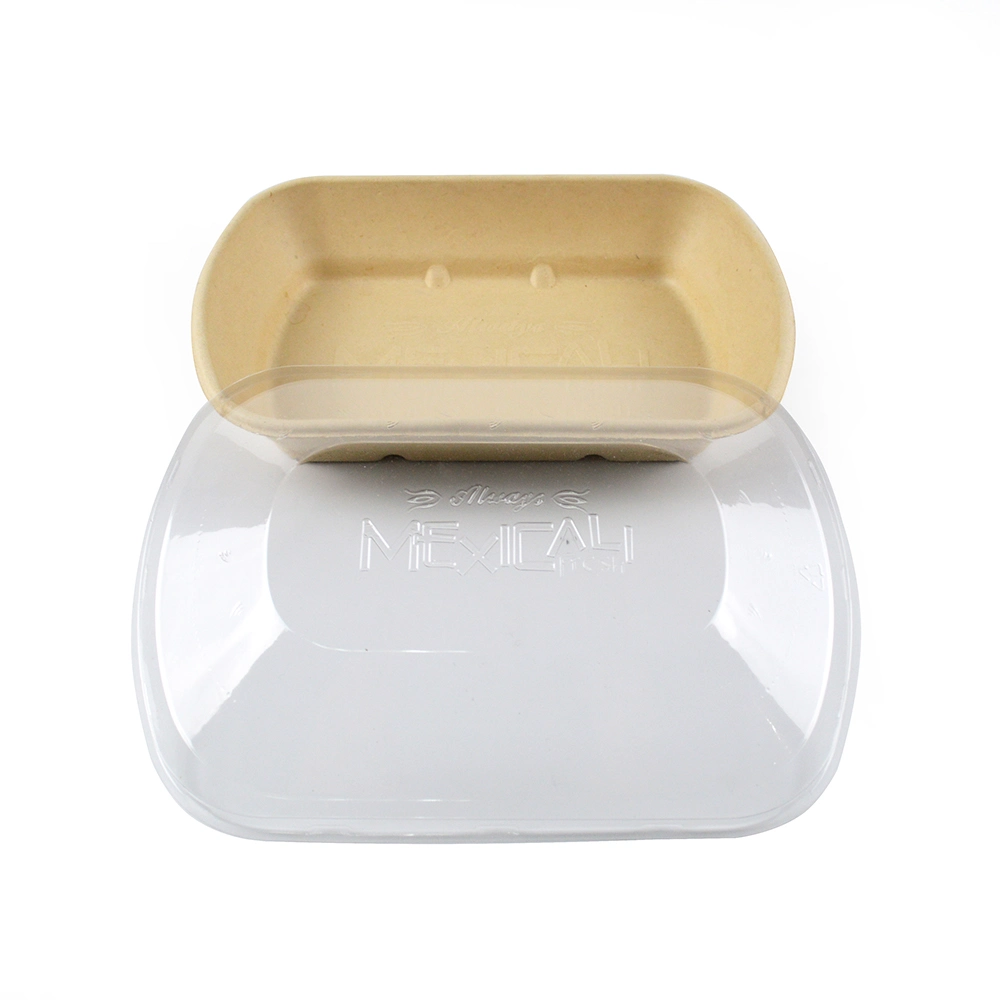 Eco Friendly Compostable Food Container Disposable Cornstarch Lunchbox Eco Bento Biodegradable Tableware Lunch Box Set