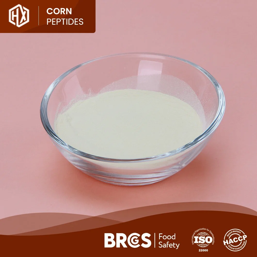 Haoxiang Supply Organic Corn Protein Peptide Meal Cornbean Protein Fiber Isolate Concentrate Powder High quality/High cost performance  Small Molecular Active Corn Collagen Peptide