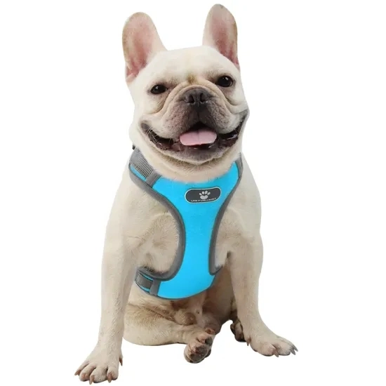 Soft Mesh Dog Harness Ajustable Custom Logo Pattern Pet Supplies Designer Pet Products Personalized Dog Accessories