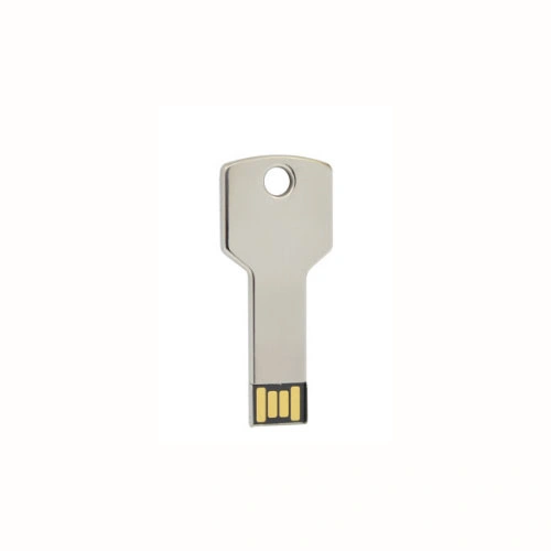 Elektronische Geschenke USB Custom Key Metall Portable wasserdichte Silber-Schlüssel USB 256GB U061/Ky01-Kette