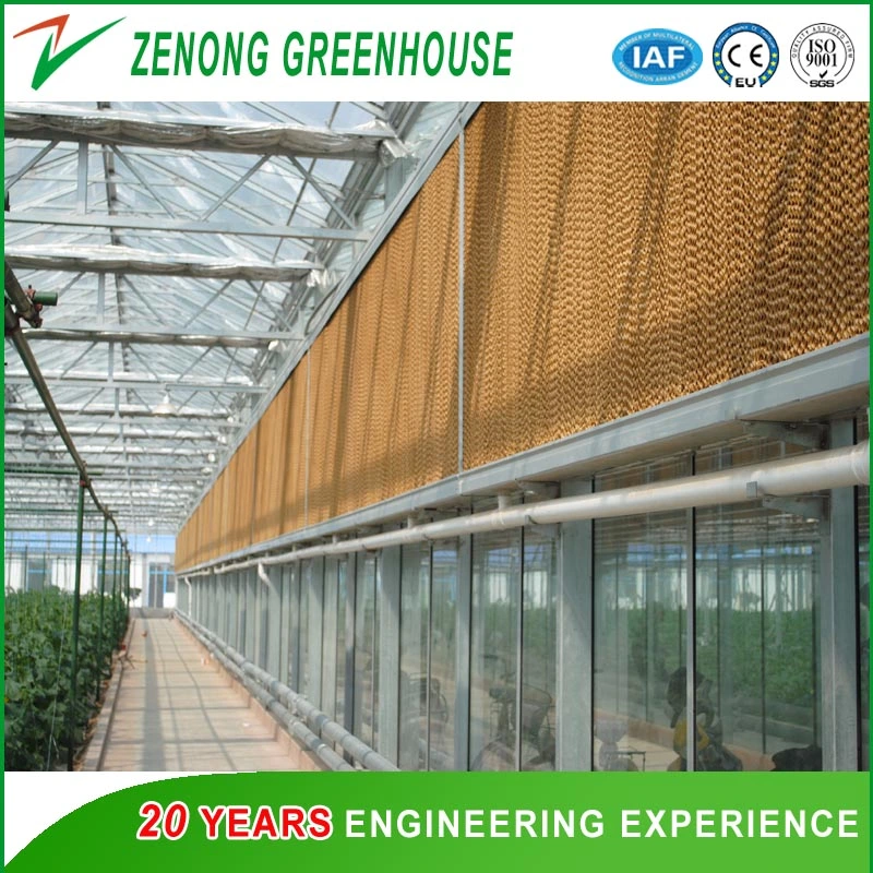 Modern Design Glass Greenhouse with Hot Galvanized Steel Framework Used for Agriculture/ Stock Farming/ Aquaculture/ Restaurant/ Scientific Research