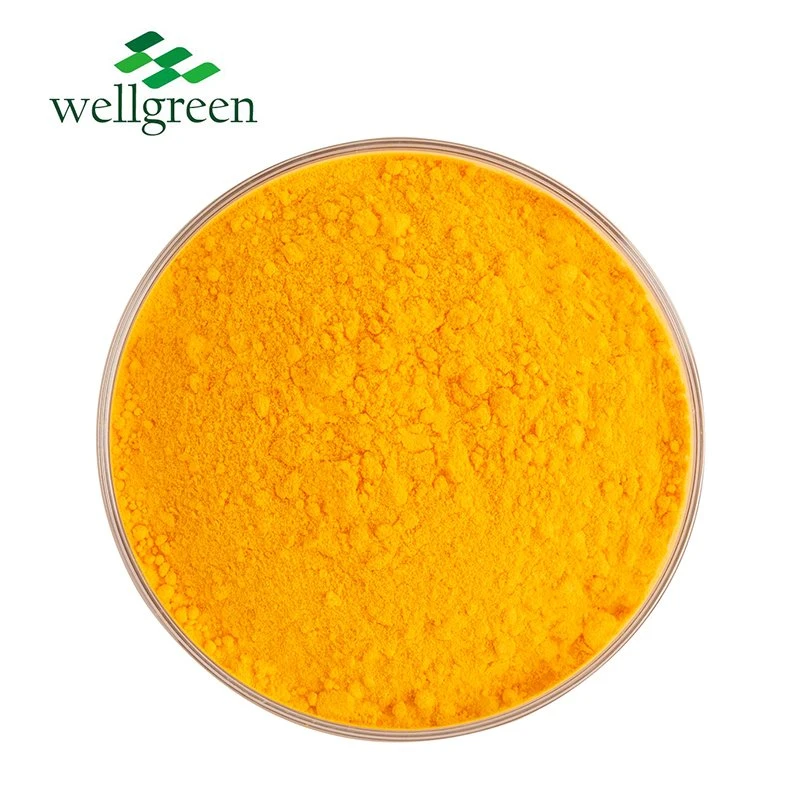 Antioxidant Supplements CAS 303-98-0 Water Soluble Ubiquinol Coenzyme Q10 Powder