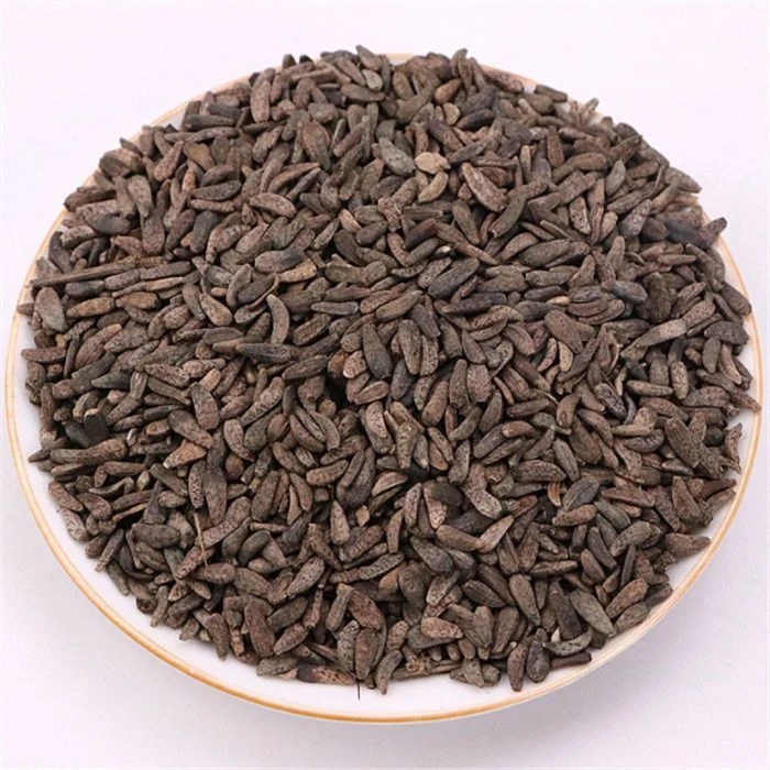 Niu Bang Zi High quality/High cost performance Supplies Wholesale/Supplier Bulk Natural Herb Medicine Fructus Arctii for Healthy Tea