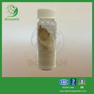 Bacillus Subtilis 1X1012 CFU/G Fungicide & Bactericide