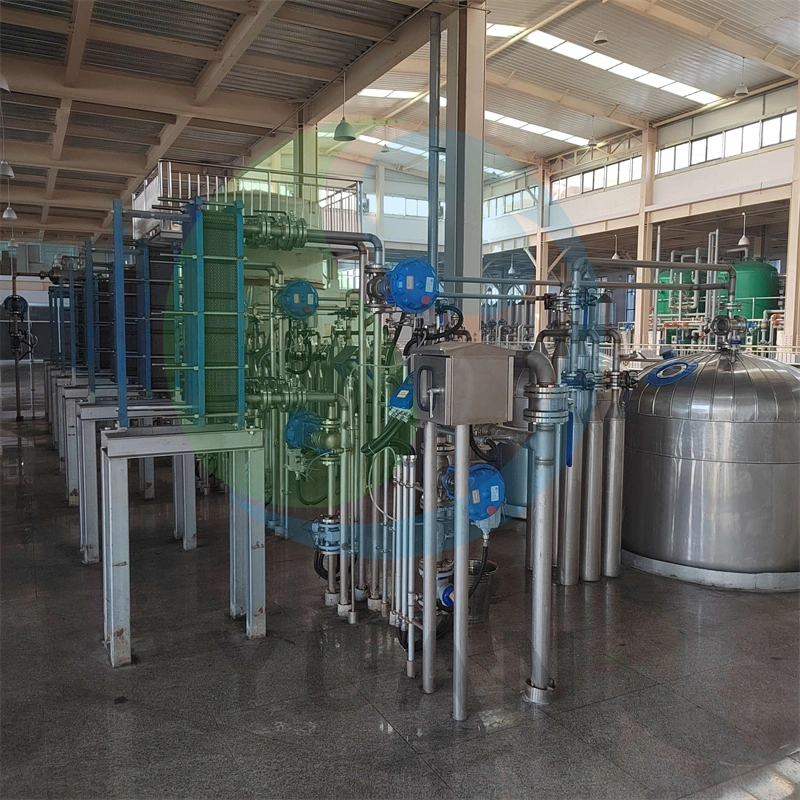 Factory Direct Supply Customized Economical Low Running Cost Customized Allulose Turnkey Project