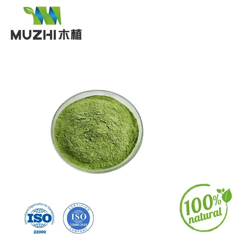 100% Natural Freeze-Dried Fruit and Vegetable Powder Water