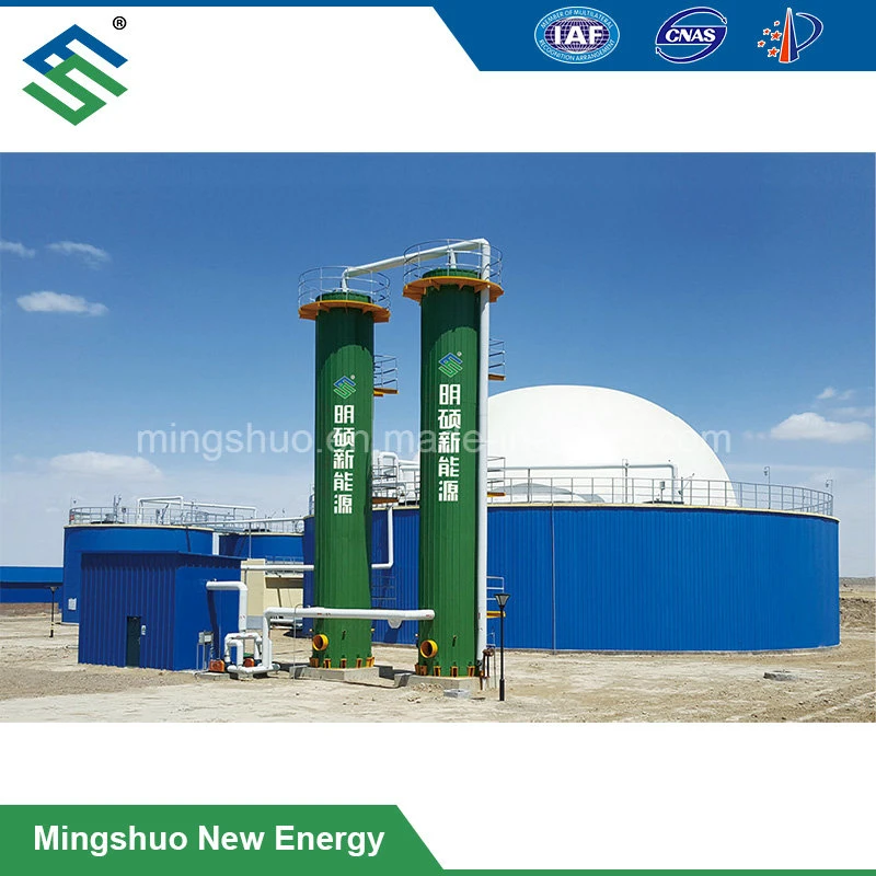 Gas Purification Hydrogen Sulfide Removal Vessel Chinese Manufacturer