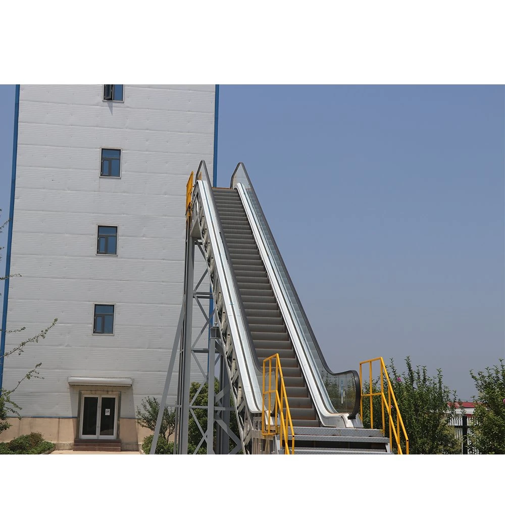 Elevator Lift Machines Cost Hydraulic Outdoor Escalators with 3c