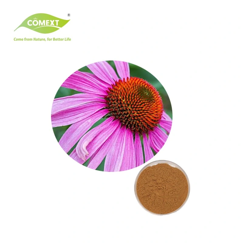 Comext Factory Direct Supply High Water-Soluble Echinacea Extract 4: 1 Echinacea Powder