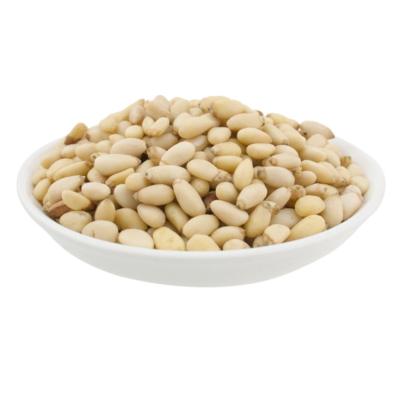 Top Quality Pine Nuts Kernels