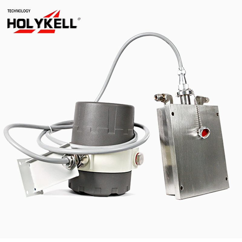 Holykell Coriolis Mass Flow Meter for Chemical Liquid/Gas Dosing System